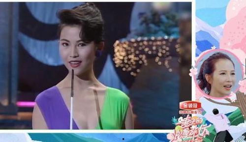 港姐系列爆料视频大全集,揭秘港姐大赛背后的精彩瞬间与幕后故事  第1张